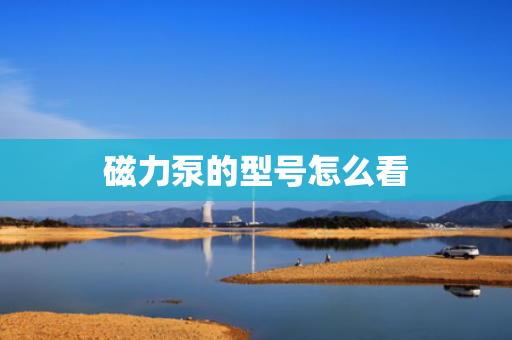 磁力泵的型号怎么看