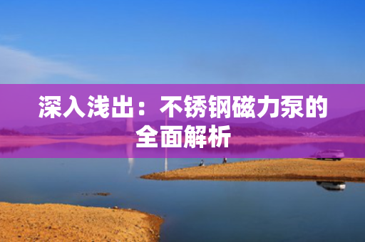 深入浅出：不锈钢磁力泵的全面解析