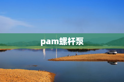 pam螺杆泵