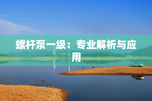螺杆泵一级：专业解析与应用