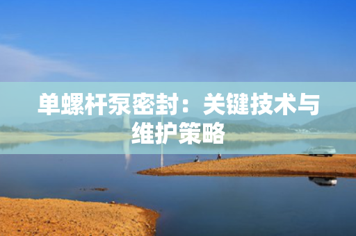 单螺杆泵密封：关键技术与维护策略