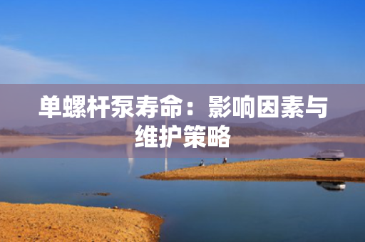 单螺杆泵寿命：影响因素与维护策略
