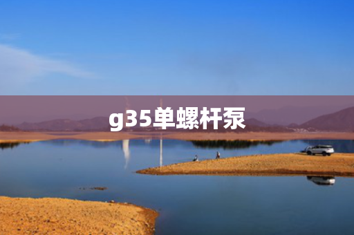 g35单螺杆泵