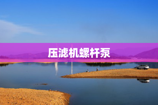 压滤机螺杆泵