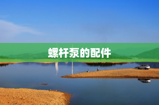 螺杆泵的配件