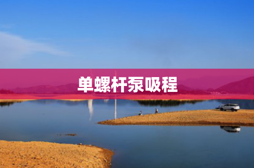单螺杆泵吸程