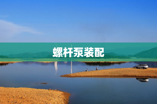 螺杆泵装配