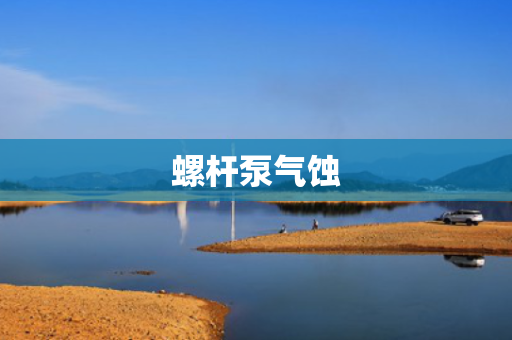 螺杆泵气蚀