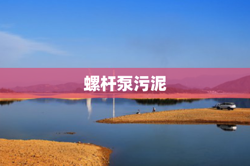 螺杆泵污泥