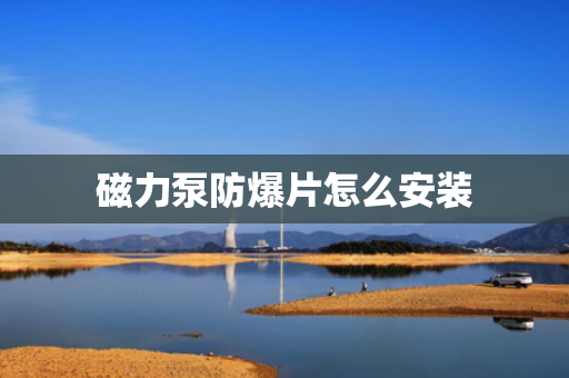 磁力泵防爆片怎么安装