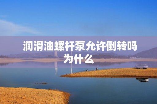  润滑油螺杆泵允许倒转吗为什么