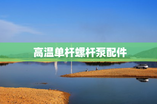  高温单杆螺杆泵配件