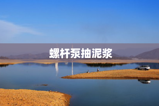  螺杆泵抽泥浆