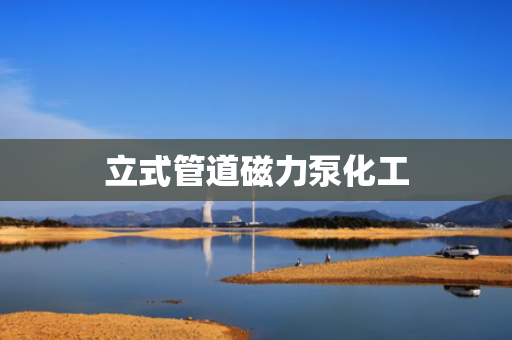 立式管道磁力泵化工