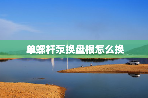  单螺杆泵换盘根怎么换