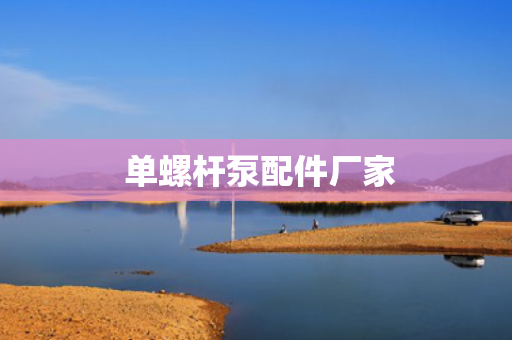  单螺杆泵配件厂家