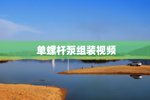  单螺杆泵组装视频