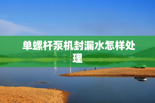  单螺杆泵机封漏水怎样处理