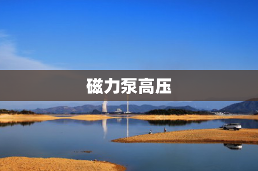 磁力泵高压