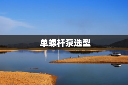  单螺杆泵选型