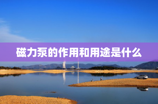 磁力泵的作用和用途是什么