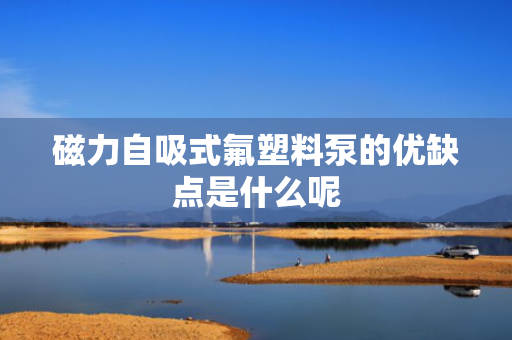 磁力自吸式氟塑料泵的优缺点是什么呢