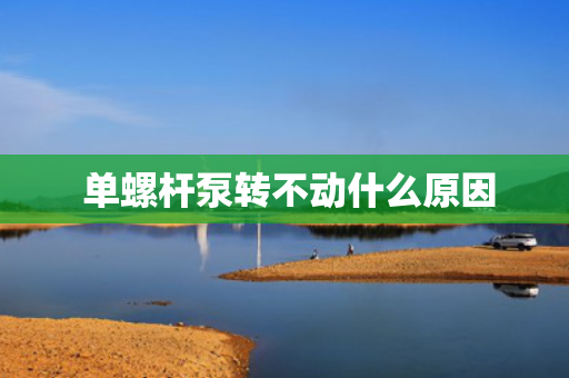  单螺杆泵转不动什么原因
