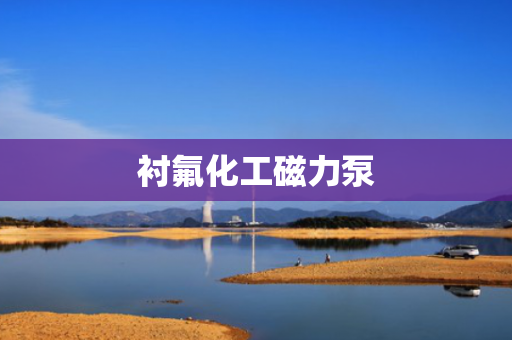 衬氟化工磁力泵