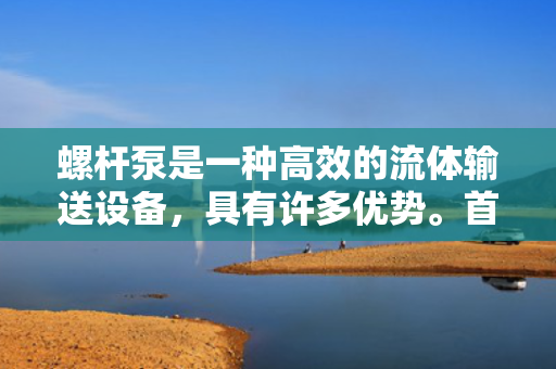 螺杆泵是一种高效的流体输送设备，具有许多优势。首先，螺杆泵具有出色的自吸能力，可以在没有外部辅助设备的情况下将流体从低位置输送到高位置。其次，螺杆泵的结构紧凑、占地面积小，非常适合在有限的空间内安装和使用。