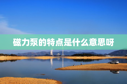 磁力泵的特点是什么意思呀