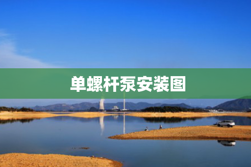  单螺杆泵安装图