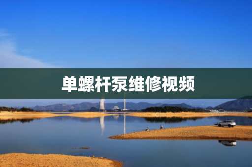  单螺杆泵维修视频