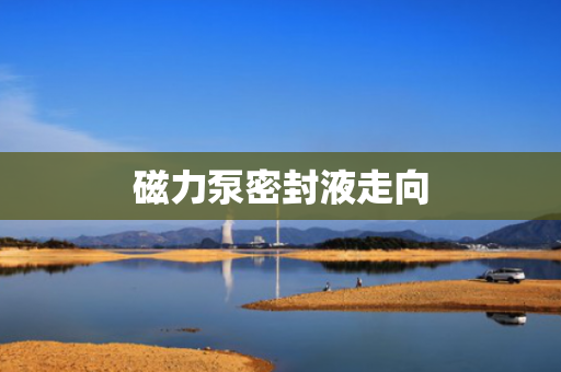 磁力泵密封液走向