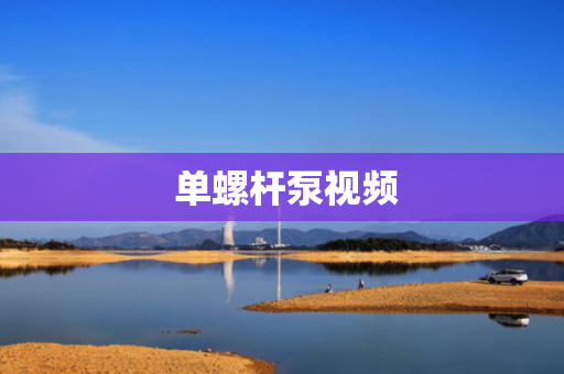 单螺杆泵视频