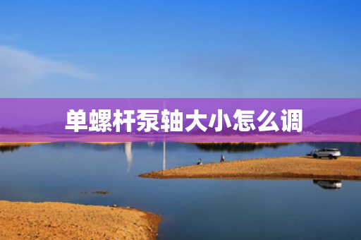  单螺杆泵轴大小怎么调