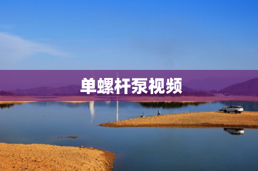  单螺杆泵视频