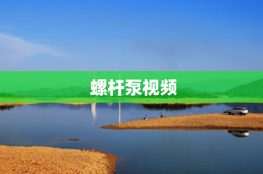  螺杆泵视频