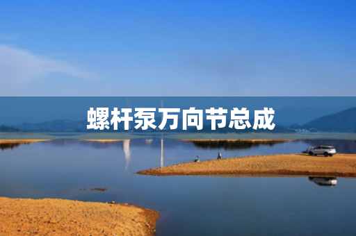  螺杆泵万向节总成