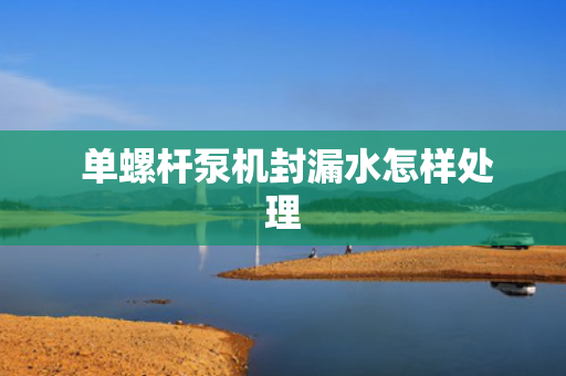  单螺杆泵机封漏水怎样处理
