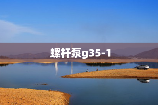  螺杆泵g35-1