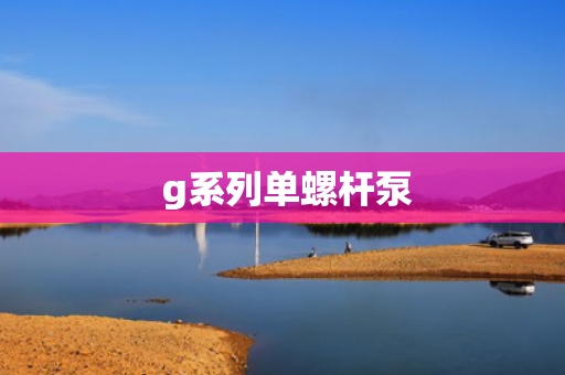  g系列单螺杆泵