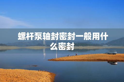  螺杆泵轴封密封一般用什么密封