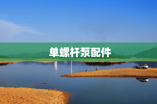  单螺杆泵配件