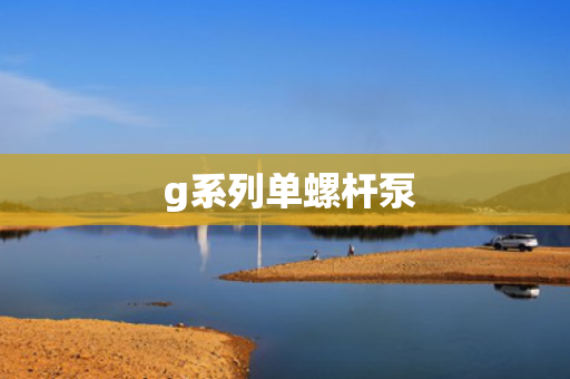  g系列单螺杆泵