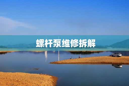  螺杆泵维修拆解