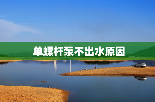  单螺杆泵不出水原因