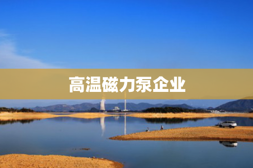 高温磁力泵企业