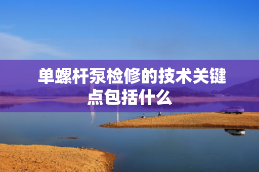  单螺杆泵检修的技术关键点包括什么