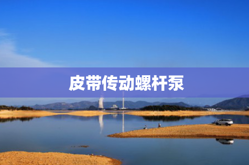  皮带传动螺杆泵