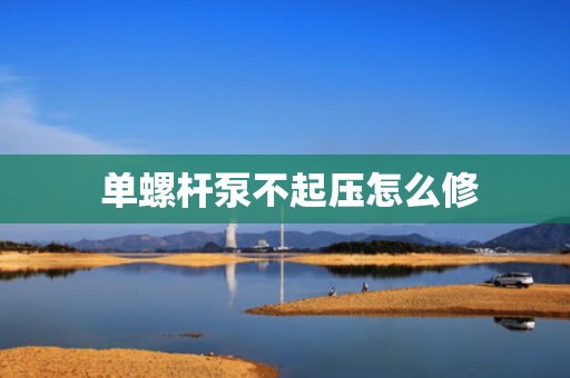  单螺杆泵不起压怎么修